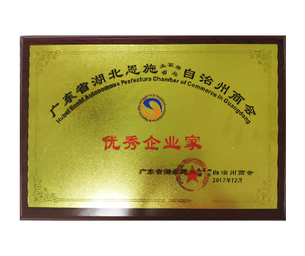 優(yōu)秀企業(yè)家證書(shū) 